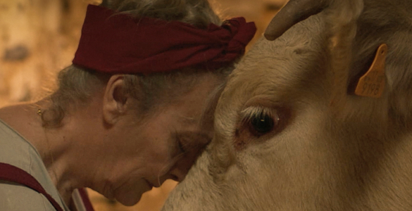 Te presentamos el tráiler oficial de "COWGIRL", que se estrenará en cines el 22 de mayo